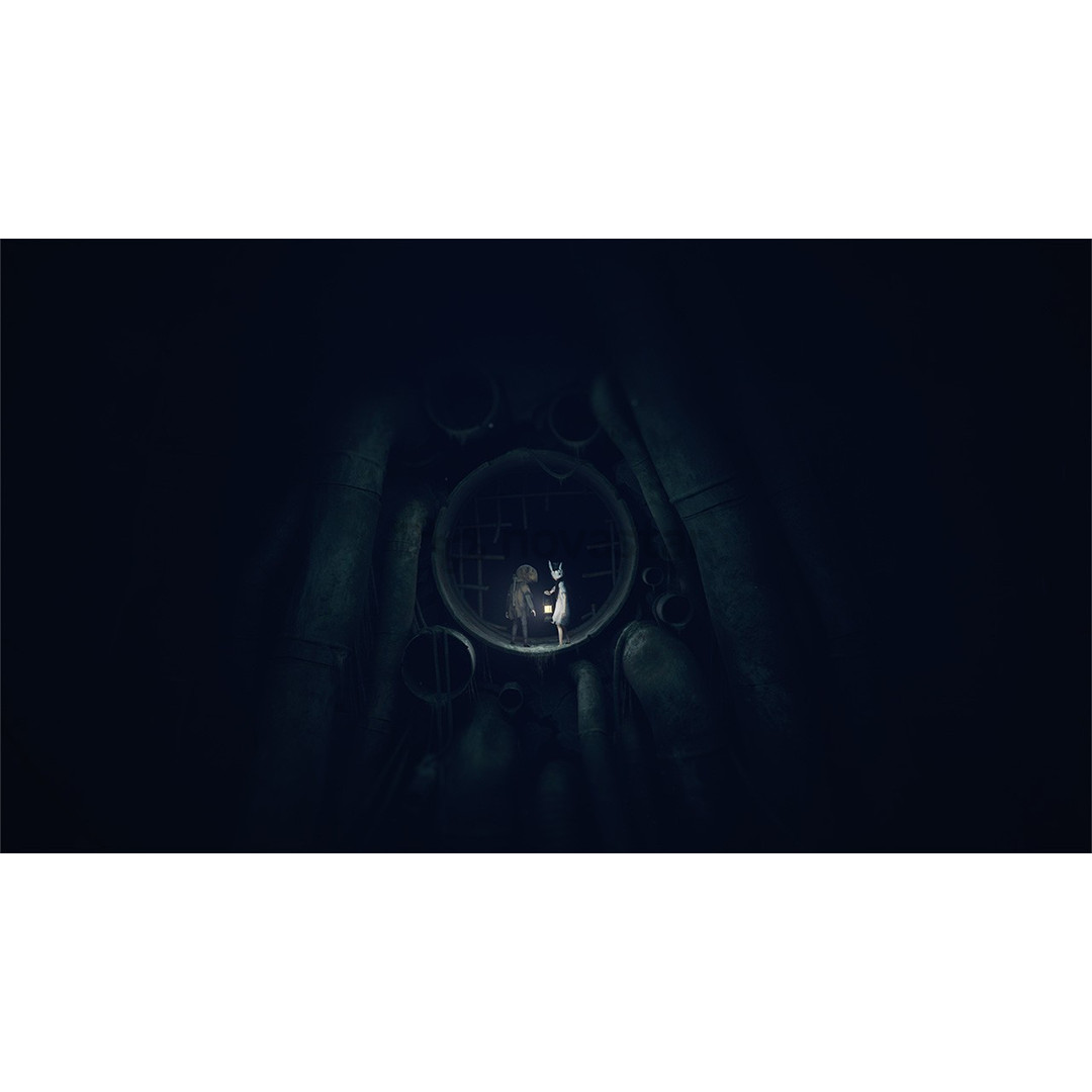 Reanimal, Nintendo Switch 2 - Žaidimas