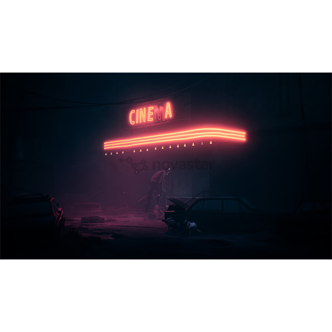 Reanimal, Nintendo Switch 2 - Žaidimas