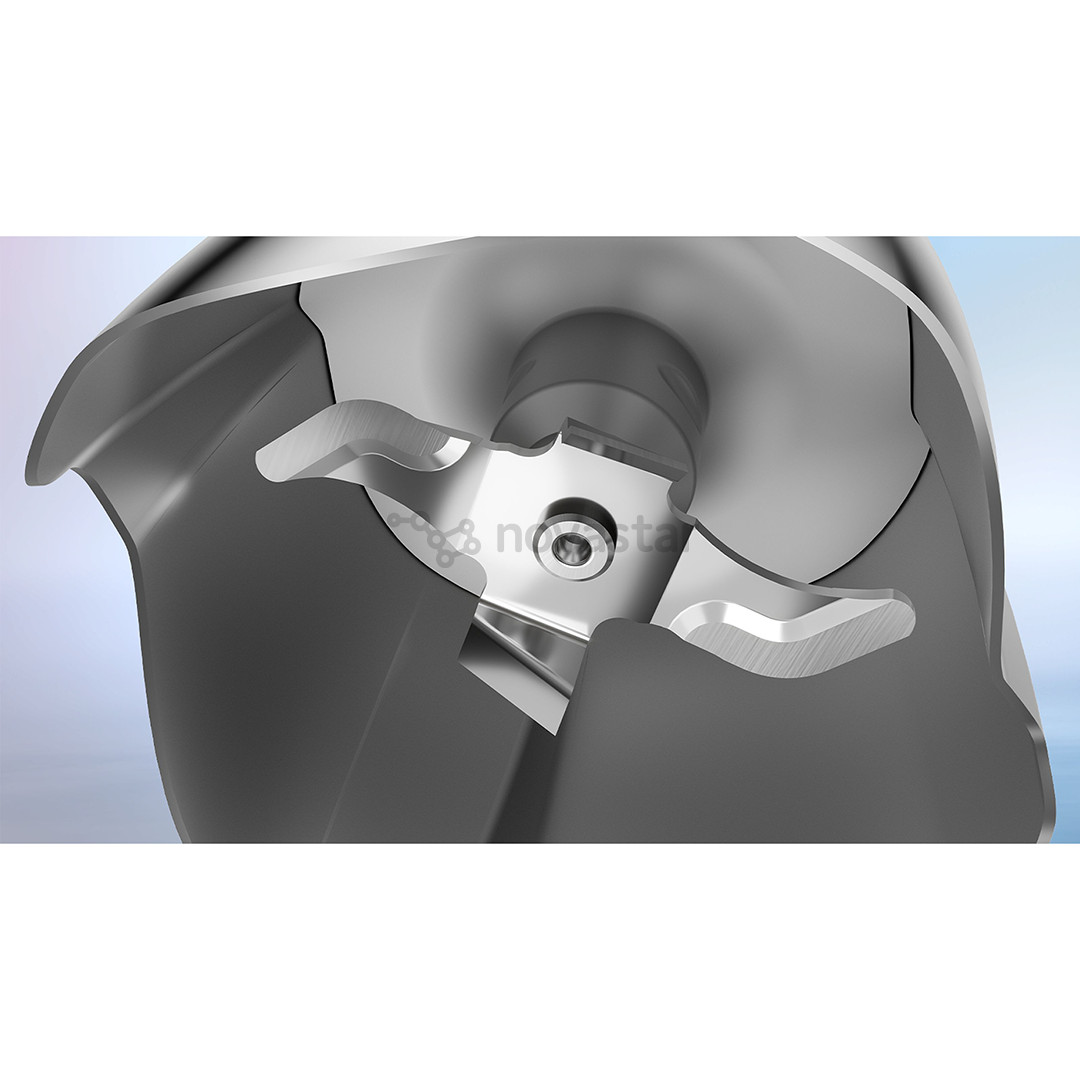 Bosch ErgoMaster, Series 6, 1000 W, nerūdijančio plieno/juodas - Rankinis trintuvas