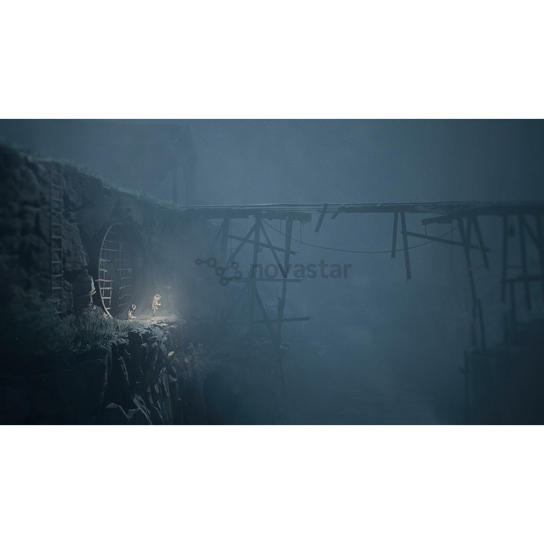 Reanimal, Xbox Series X - Žaidimas