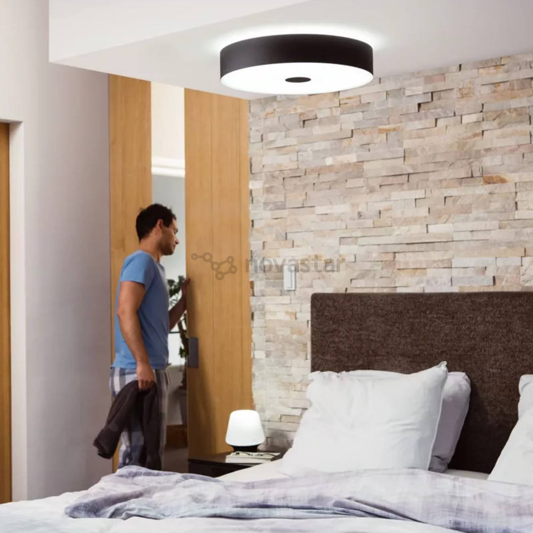 Philips Hue Fair Ceiling Lamp + Hue Dimmer Switch, черный - Умный светильник