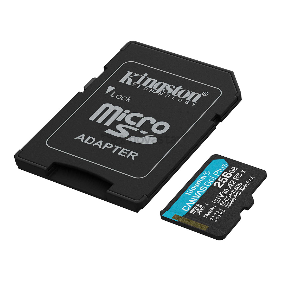 Kingston Canvas Go! Plus, microSDXC, 256 ГБ, черный - Карта памяти