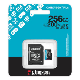 Kingston Canvas Go! Plus, microSDXC, 256 ГБ, черный - Карта памяти