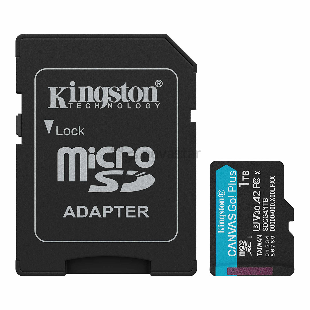 Kingston Canvas Go! Plus, microSDXC, 1 TB, black - Memory card