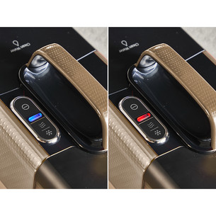 Tefal Clean It Hot & Cold, juodas/vario spalvos - Kilimų valymo įrenginys