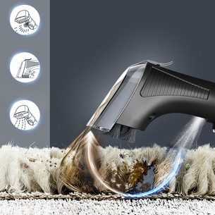 Tefal Clean It Hot & Cold, juodas/vario spalvos - Kilimų valymo įrenginys