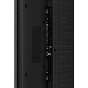 TCL C7L, 55'', 4K UHD, SQD-Mini LED, juodas - Televizorius