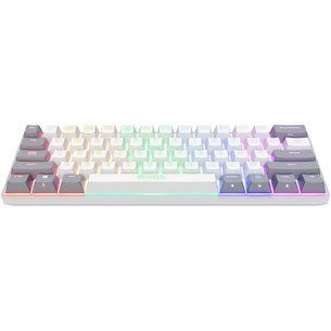 Trust GXT873 Acira 60% Mini, US, balta - Belaidė klaviatūra
