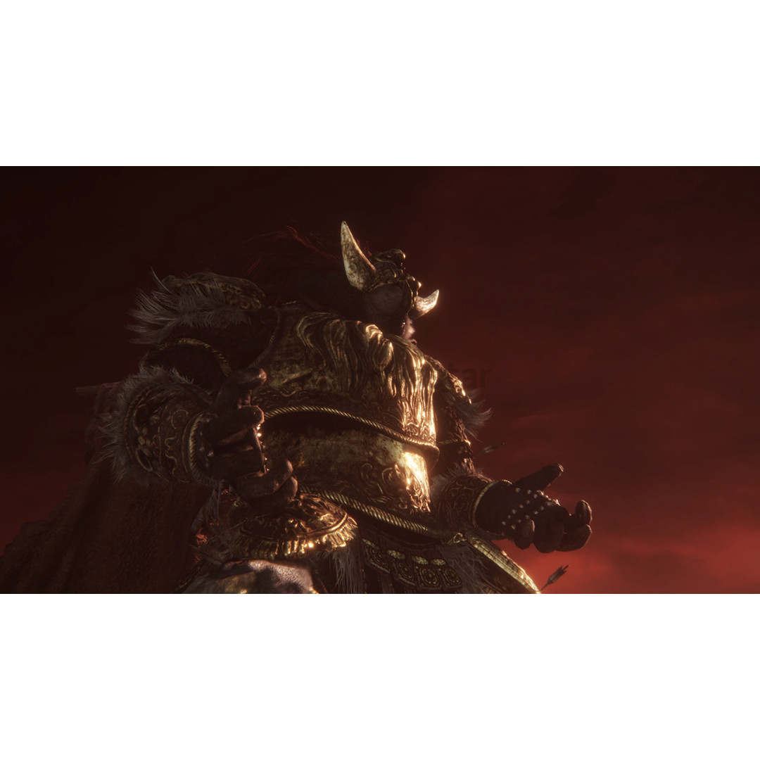 Elden Ring Tarnished Edition, Nintendo Switch 2 - Žaidimas