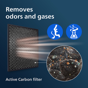 Filtras Philips FY1413/30