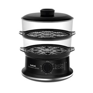 Tefal Convenient, 980 W, black - Steamer